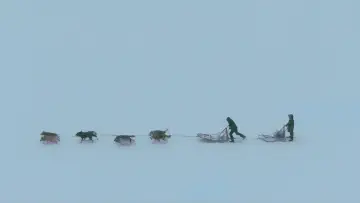Задник к фильму "Folktales" #536110