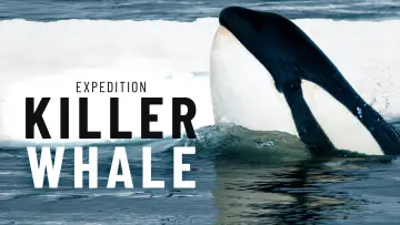 Задник к фильму "Expedition Killer Whale" #880371