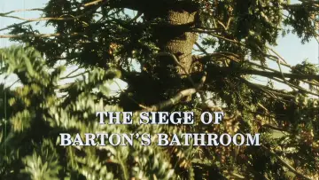 Задник к фильму "The Siege of Barton