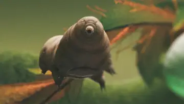Задник к фильму "Tardigrade, l