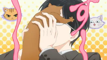 猫になりたい田万川くん постер