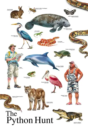 Постер к фильму "The Python Hunt" #913090