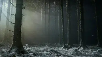 Задник к фильму "Werwulf" #930767