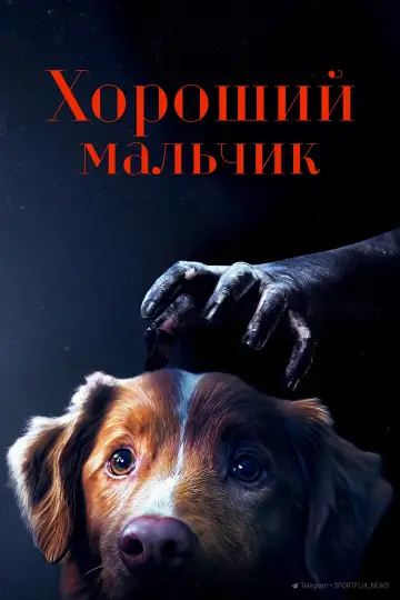 Постер к фильму "Хороший мальчик" #517283