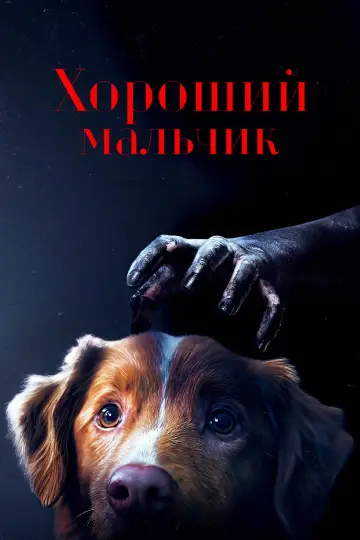 Постер к фильму "Хороший мальчик" #517367