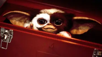 Задник к фильму "Gremlins 3" #1183209