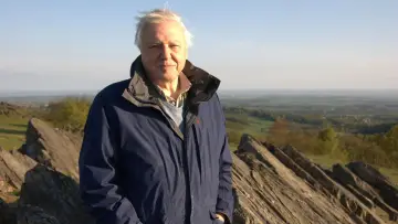 Задник к фильму "Attenborough