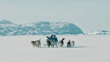 Banquise постер