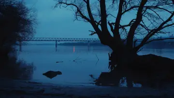 Задник к фильму "Dalok a Nép Szigetéről" #1641652