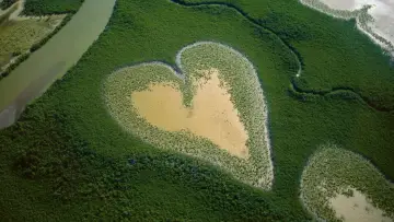 Задник к фильму "Nature : pour une réconciliation" #1224220