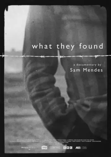 Постер к фильму "What They Found" #978767