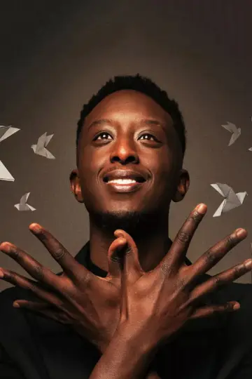 Ahmed Sylla - Origami