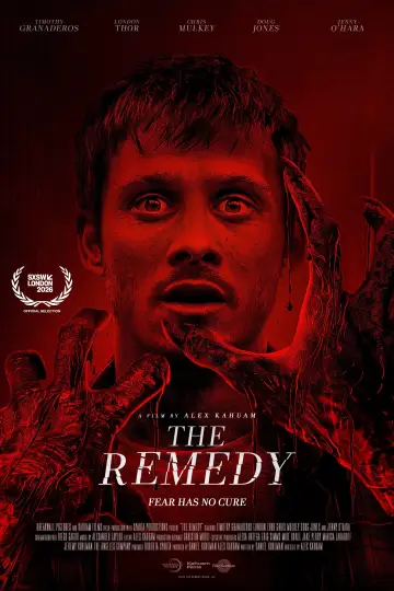The Remedy постер