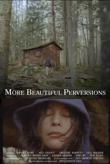 More Beautiful Perversions постер