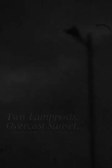 Постер к фильму "Two Lampposts, Overcast Sunset, 7.58pm-8.34pm Tues 17th Feb 2025" #941320