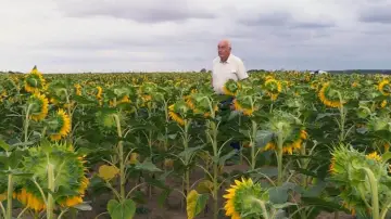 Задник к фильму "Beau comme un tracteur" #1175397