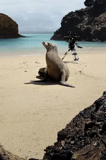 Постер к фильму "Guardians of the Galapagos" #720087