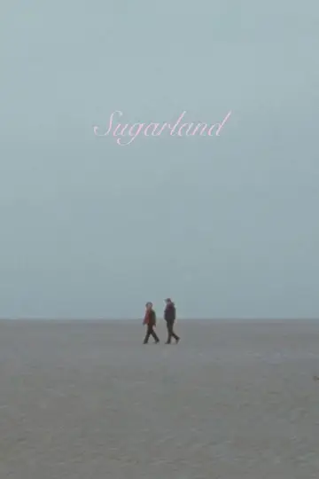 Постер к фильму "Sugarland" #697809