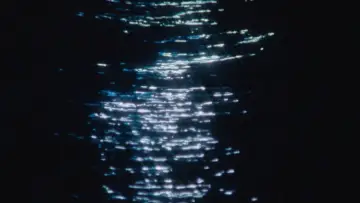 Задник к фильму "Anything That Moves" #1140752