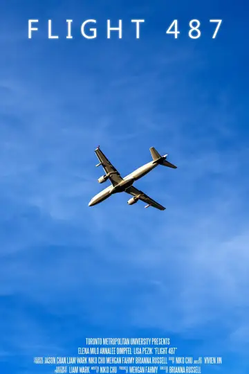 Flight 487 постер
