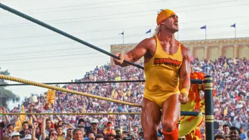 Задник к фильму "WrestleMania IX: Becoming a Spectacle" #1582563