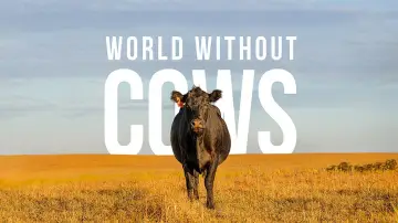Задник к фильму "World Without Cows" #1806807