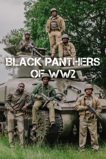 Постер к фильму "Black Panthers of WWII" #665910