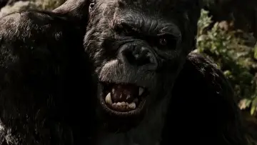 Задник к фильму "« King Kong » : le cœur des ténèbres" #1195162