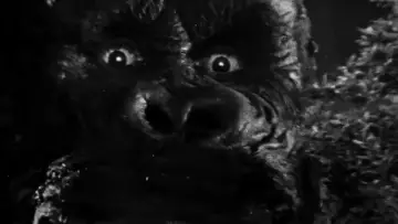 Задник к фильму "« King Kong » : le cœur des ténèbres" #1195166