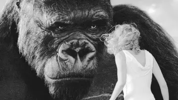 Задник к фильму "« King Kong » : le cœur des ténèbres" #1195168