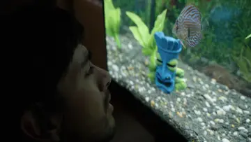 Задник к фильму "Notes from a Fish" #791596