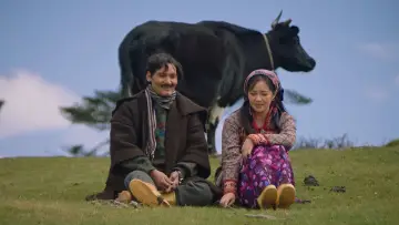 Задник к фильму "ऊनको स्वीटर" #1638408