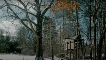Задник к фильму "Treehouse" #1167031