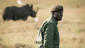 Задник к фильму "Rhino" #923507