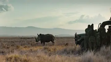Задник к фильму "Rhino" #923510