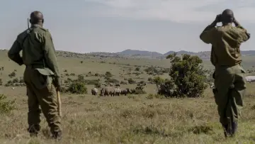 Задник к фильму "Rhino" #923519