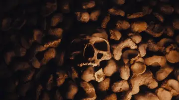 Задник к фильму "Queens of the Stone Age: Alive in the Catacombs" #940697