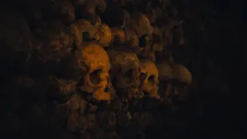 Задник к фильму "Queens of the Stone Age: Alive in the Catacombs" #940699