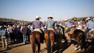 Задник к фильму "Jaripeo" #540316