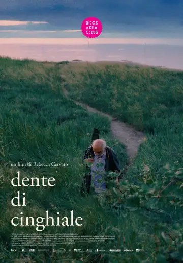 Dente di cinghiale постер