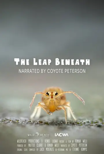 Постер к фильму "The Leap Beneath" #801944