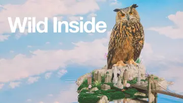 Задник к фильму "Wild Inside" #1176431