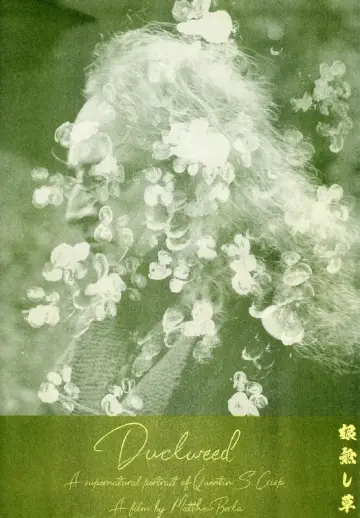 Постер к фильму "Duckweed" #879152