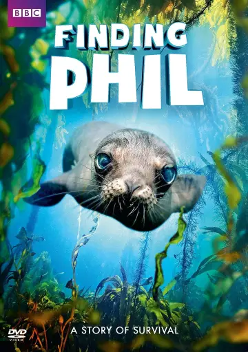 Постер к фильму "Finding Phil" #961705