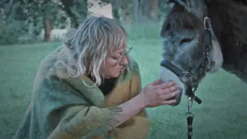 Задник к фильму "Donkey Days" #813192