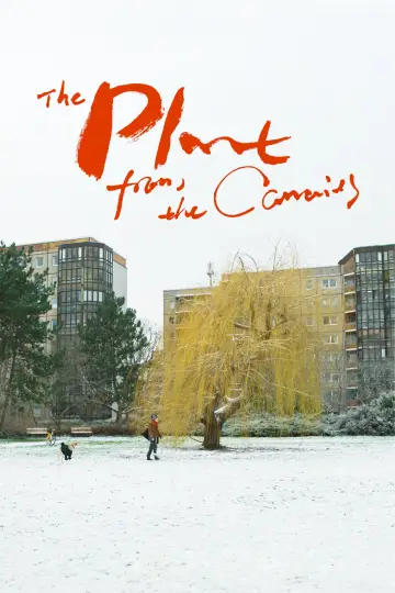 Постер к фильму "The Plant from the Canaries" #1142667