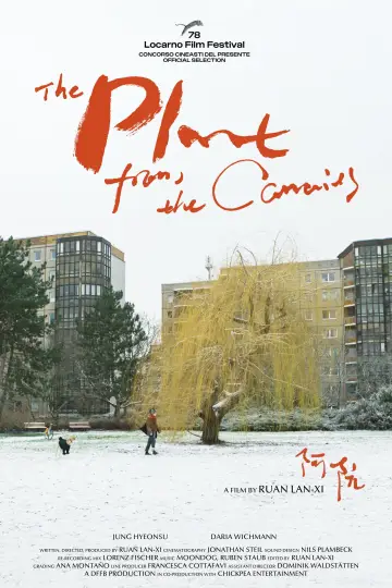 The Plant from the Canaries постер