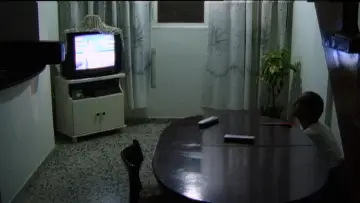 Задник к фильму "Mit Hasan in Gaza" #771439