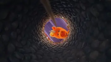 Задник к фильму "Приятель" #1171150