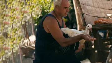 Задник к фильму "Приказната за Силјан" #784837